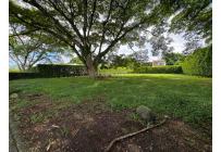 Lotes, Venta, Pance - $650.000.000