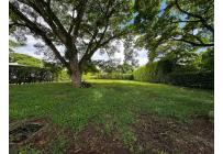 Lotes, Venta, Pance - $650.000.000