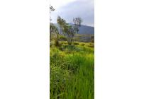 Lotes, Venta, La Reforma - $130.000.000