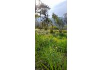 Lotes, Venta, La Reforma - $130.000.000