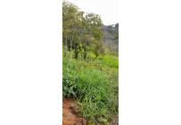 Lotes, Venta, La Reforma - $130.000.000