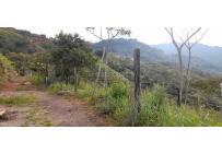 Lotes, Venta, La Reforma - $130.000.000