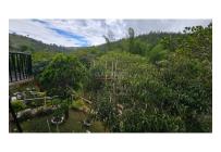Fincas y Casas Campestres, Venta, La Cumbre - $290.000.000