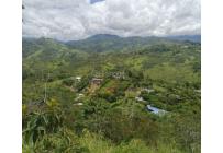 Lotes, Venta, La Buitrera - $2.060.000.000