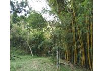 Lotes, Venta, La Buitrera - $2.060.000.000