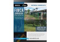Fincas y Casas Campestres, Venta, Restrepo - $900.000.000