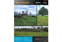 Fincas y Casas Campestres, Venta, Restrepo - $900.000.000