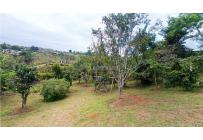 Fincas y Casas Campestres, Venta, Dagua - $590.000.000