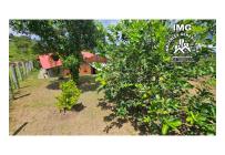 Fincas y Casas Campestres, Venta, La Cumbre - $580.000.000