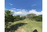 Lotes, Venta, Palmira - $1.500.000.000