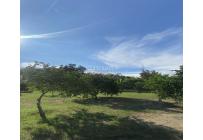 Lotes, Venta, Palmira - $1.500.000.000