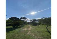 Lotes, Venta, Palmira - $1.500.000.000