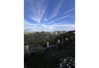 Fincas y Casas Campestres, Venta, Vijes - $530.000.000