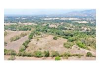 Lotes, Venta, Carmen de Apicala - $2.600.000.000