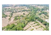 Lotes, Venta, Carmen de Apicala - $2.600.000.000