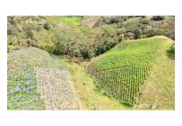 Lotes, Venta, Quipile - $200.000.000