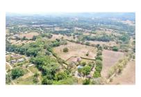 Lotes, Venta, Carmen de Apicala - $170.000.000