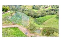 Casas, Venta, Quipile - $600.000.000