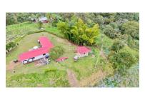Fincas y Casas Campestres, Venta, Quipile - $450.000.000