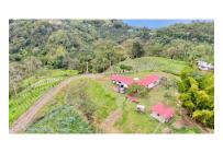 Fincas y Casas Campestres, Venta, Quipile - $450.000.000