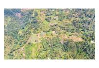 Fincas y Casas Campestres, Venta, Quipile - $450.000.000