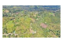 Fincas y Casas Campestres, Venta, Quipile - $450.000.000