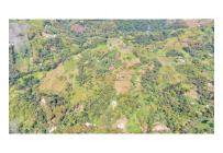 Fincas y Casas Campestres, Venta, Quipile - $450.000.000