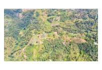 Fincas y Casas Campestres, Venta, Quipile - $450.000.000