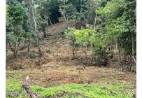 Lotes, Venta, La Mesa - $75.000.000