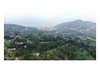 Lotes, Venta, La Mesa - $75.000.000