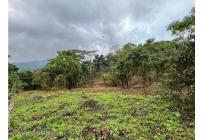 Lotes, Venta, La Mesa - $75.000.000