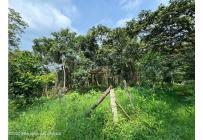 Lotes, Venta, La Mesa - $75.000.000