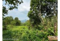 Lotes, Venta, La Mesa - $75.000.000