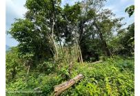 Lotes, Venta, La Mesa - $75.000.000