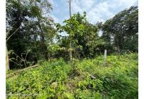 Lotes, Venta, La Mesa - $75.000.000