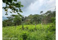 Lotes, Venta, La Mesa - $75.000.000