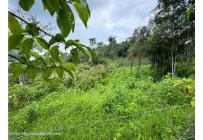 Lotes, Venta, La Mesa - $75.000.000