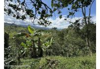 Fincas y Casas Campestres, Venta, Anolaima - $789.000.000