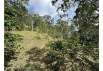 Fincas y Casas Campestres, Venta, Anolaima - $789.000.000