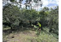 Fincas y Casas Campestres, Venta, Anolaima - $789.000.000