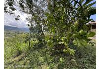 Fincas y Casas Campestres, Venta, Anolaima - $789.000.000