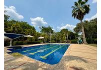 Fincas y Casas Campestres, Venta, Carmen de Apicala - $1.200.000.000