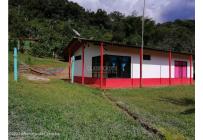 Fincas y Casas Campestres, Venta, La Vega - $1.600.000.000