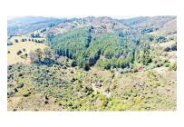 Lotes, Venta, La Calera - $460.000.000