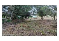 Lotes, Venta, La Calera - $460.000.000