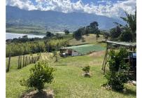 Fincas y Casas Campestres, Venta, Calima (Darién) - $650.000.000