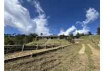 Fincas y Casas Campestres, Venta, Calima (Darién) - $650.000.000