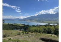 Fincas y Casas Campestres, Venta, Calima (Darién) - $650.000.000