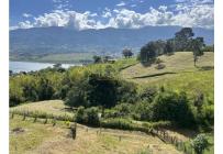Fincas y Casas Campestres, Venta, Calima (Darién) - $650.000.000
