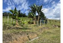 Fincas y Casas Campestres, Venta, Calima (Darién) - $650.000.000